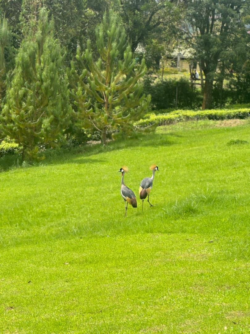 Wild life Island Tour